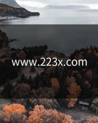 www.223x.com