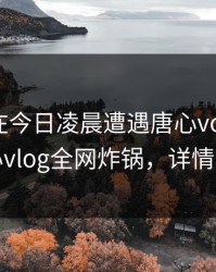 当事人在今日凌晨遭遇唐心volg 揭秘，糖心vlog全网炸锅，详情速看