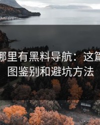 别再问哪里有黑料导航：这篇只讲截图鉴别和避坑方法