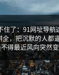 真的绷不住了：91网址导航这次像是故意没讲全，把沉默的人都逼出来了：怪不得最近风向突然变了