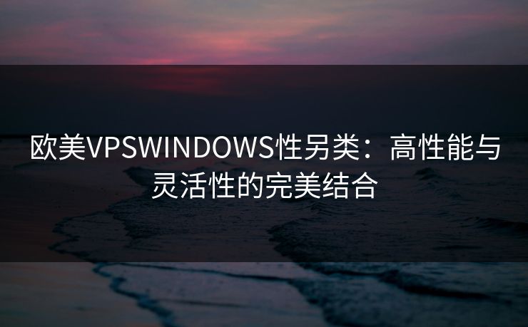 欧美VPSWINDOWS性另类：高性能与灵活性的完美结合