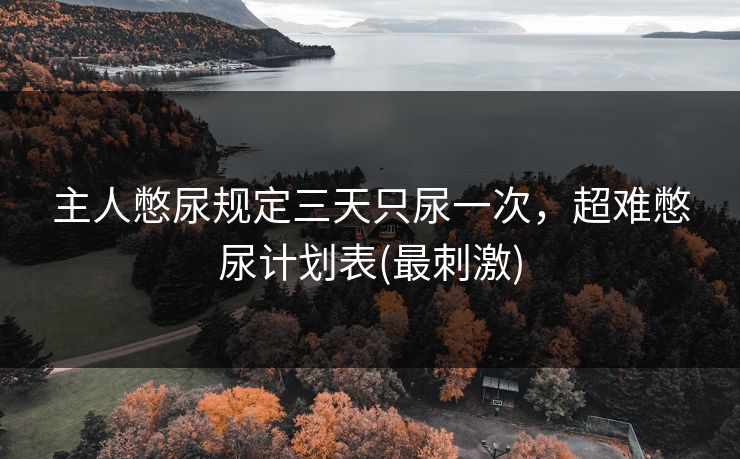 主人憋尿规定三天只尿一次，超难憋尿计划表(最刺激)
