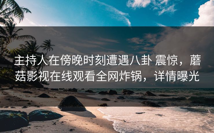 主持人在傍晚时刻遭遇八卦 震惊，蘑菇影视在线观看全网炸锅，详情曝光
