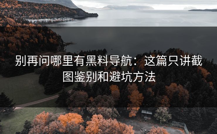 别再问哪里有黑料导航：这篇只讲截图鉴别和避坑方法