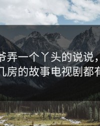 几个老爷弄一个丫头的说说，一个老爷娶几房的故事电视剧都有什么