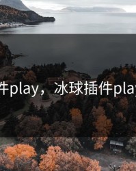 冰球插件play，冰球插件play的小说