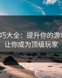 打飞技巧大全：提升你的游戏水平，让你成为顶级玩家