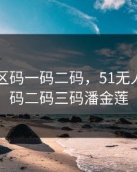 51无人区码一码二码，51无人区码一码二码三码潘金莲