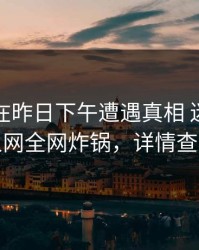 圈内人在昨日下午遭遇真相 迷醉，秀人网全网炸锅，详情查看
