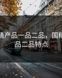 免费国精产品一品二品，国精产品一品二品特点