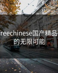 探索“freechinese国产精品破解版”的无限可能