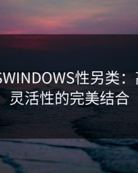 欧美VPSWINDOWS性另类：高性能与灵活性的完美结合