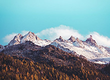 甜橙直播，甜橙直播一码云游