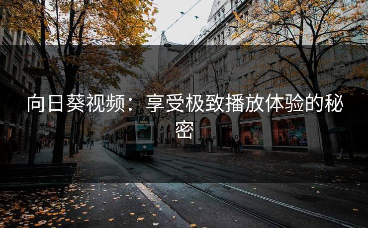 向日葵视频：享受极致播放体验的秘密