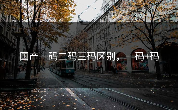 国产一码二码三码区别,一码+码 国产一码二码三码区别,一码+码