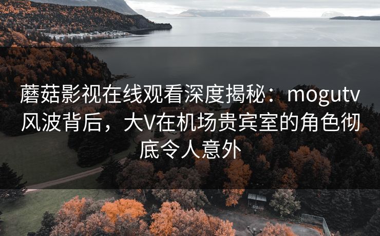 蘑菇影视在线观看深度揭秘：mogutv风波背后，大V在机场贵宾室的角色彻底令人意外
